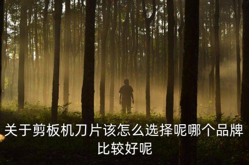 關于剪板機刀片該怎么選擇呢哪個品牌比較好呢