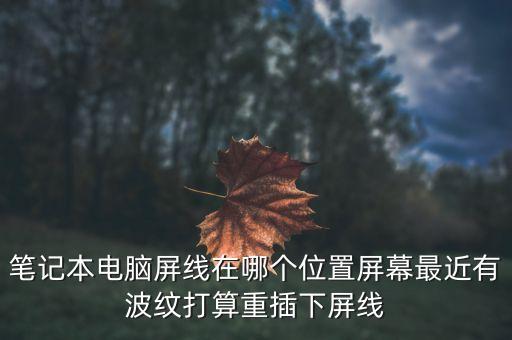 屏線，請各位智者介紹一下屏線是什么東西