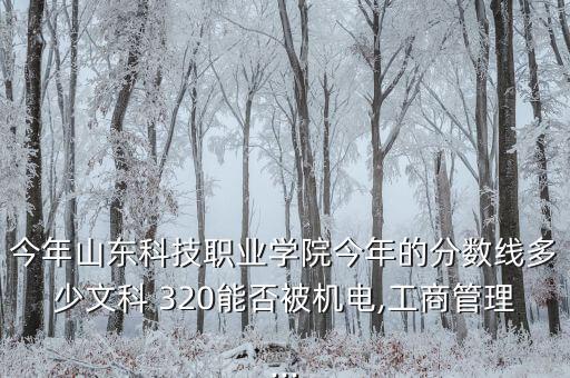 自動化專業(yè)320分