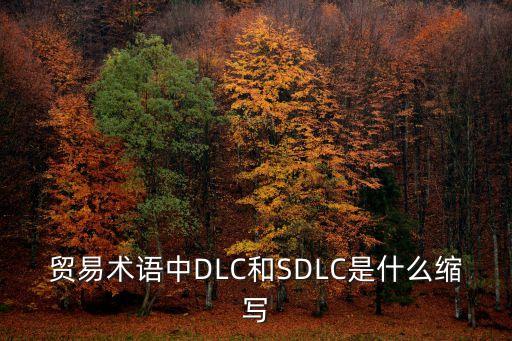 sdlc，貿(mào)易術(shù)語中DLC和SDLC是什么縮寫