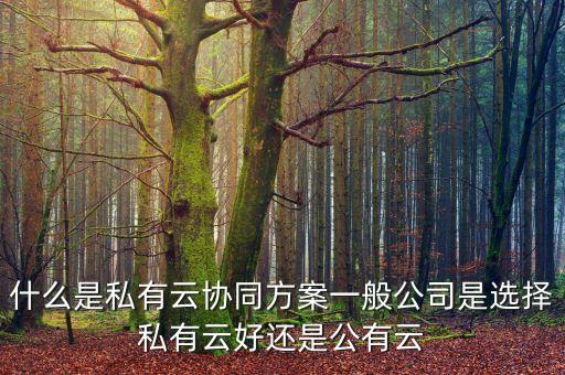 私有云平臺(tái)，企業(yè)私有云哪個(gè)好