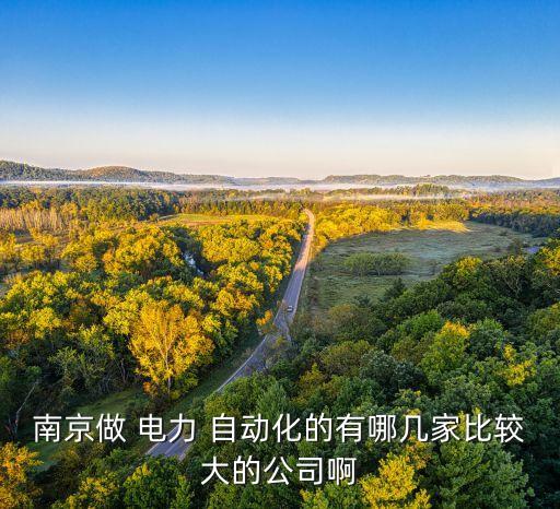 南京做 電力 自動(dòng)化的有哪幾家比較大的公司啊