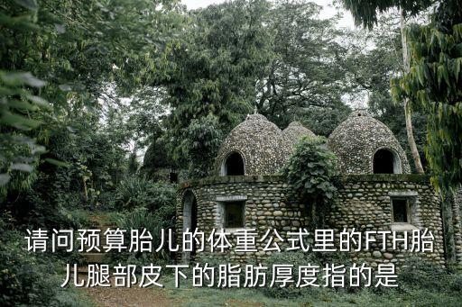 請問預算胎兒的體重公式里的FTH胎兒腿部皮下的脂肪厚度指的是