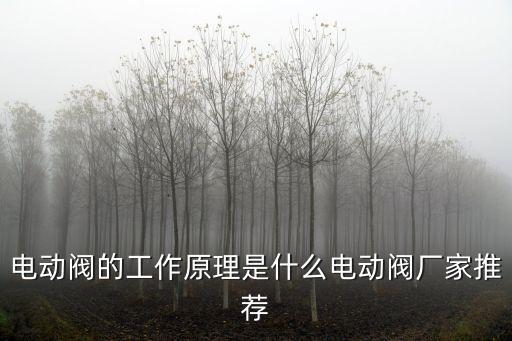 電動閥的工作原理是什么電動閥廠家推薦