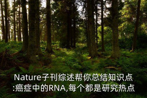 Nature子刊綜述幫你總結(jié)知識點:癌癥中的RNA,每個都是研究熱點