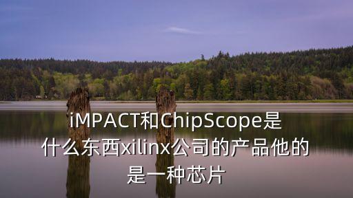 iMPACT和ChipScope是什么東西xilinx公司的產(chǎn)品他的是一種芯片