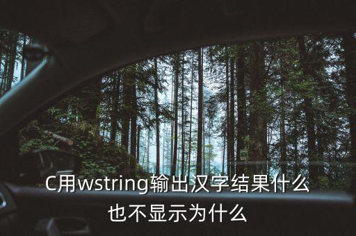 wstring，wstring是什么跟string有什么區(qū)別啊