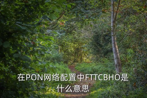 FTTC，通信中FTTCFTTBFTTHFTTO是什么意思