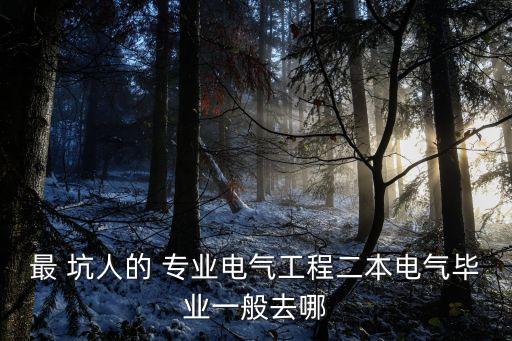 最 坑人的 專業(yè)電氣工程二本電氣畢業(yè)一般去哪