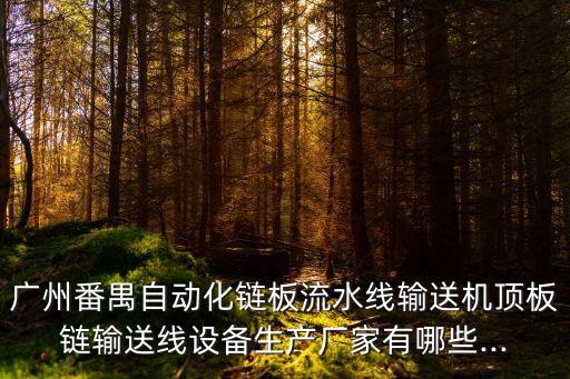 廣州番禺自動化鏈板流水線輸送機(jī)頂板鏈輸送線設(shè)備生產(chǎn)廠家有哪些...