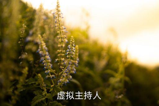 虛擬主持人，新一代虛擬主持人是哪家公司自主研發(fā)的