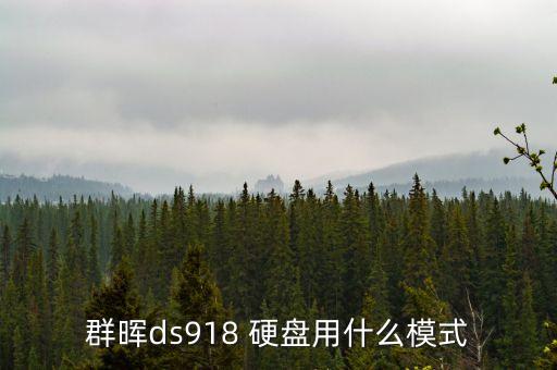 群暉ds918 硬盤用什么模式
