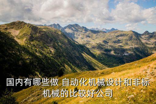 國內(nèi)有哪些做 自動化機(jī)械設(shè)計和非標(biāo)機(jī)械的比較好公司