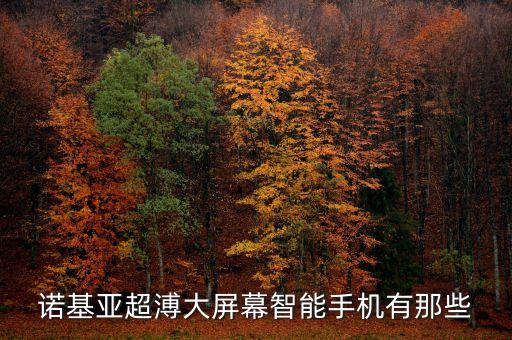 諾基亞大屏幕手機(jī)，諾基亞屏幕最大的手機(jī)是哪一款