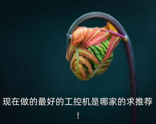 現(xiàn)在做的最好的工控機(jī)是哪家的求推薦!