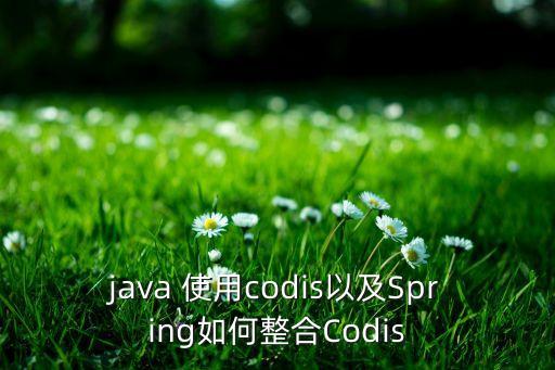 java 使用codis以及Spring如何整合Codis