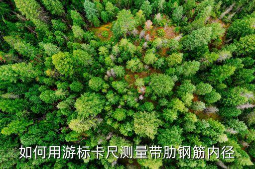 游標卡尺測內(nèi)徑，用1000毫米的游標卡尺量一個孔的內(nèi)徑量的時候卡尺是要垂直豎著量