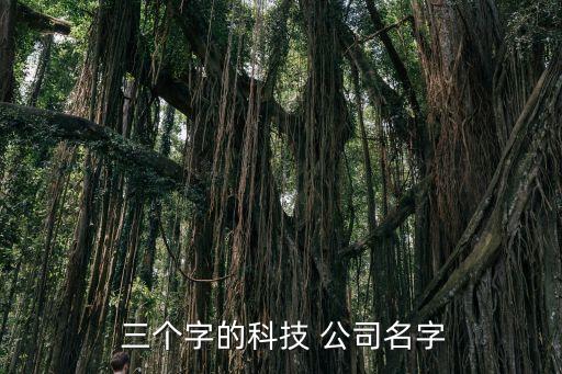  三個(gè)字的科技 公司名字