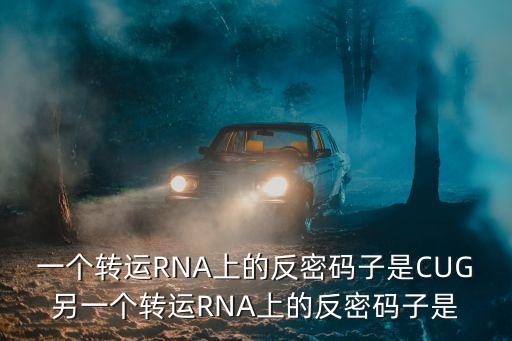 一個轉(zhuǎn)運RNA上的反密碼子是CUG另一個轉(zhuǎn)運RNA上的反密碼子是