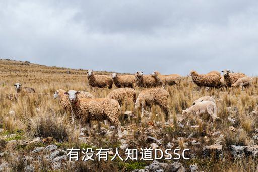 有沒有人知道DSSC