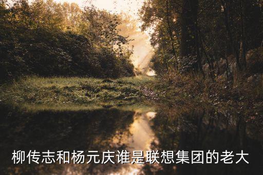 聯(lián)想柳傳志，聯(lián)想集團(tuán)總裁柳傳志的成功之處是什么