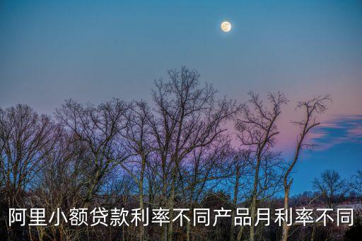 阿里小額貸款利率不同產(chǎn)品月利率不同