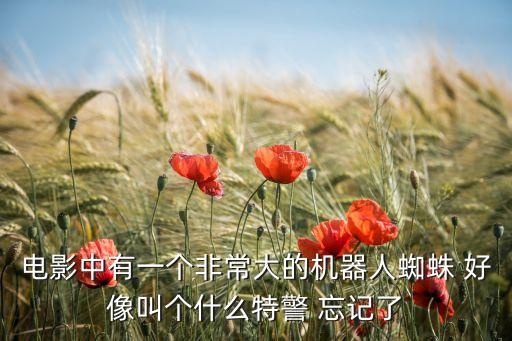 電影中有一個(gè)非常大的機(jī)器人蜘蛛 好像叫個(gè)什么特警 忘記了