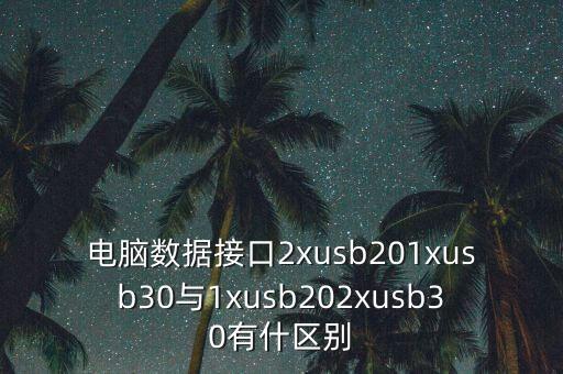 電腦數(shù)據(jù)接口2xusb201xusb30與1xusb202xusb30有什區(qū)別