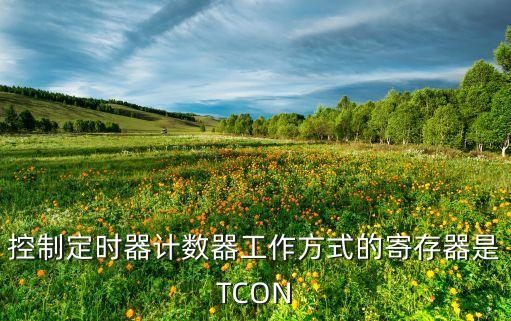 控制定時(shí)器計(jì)數(shù)器工作方式的寄存器是TCON