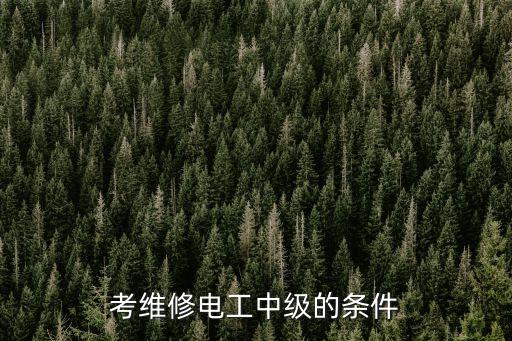 電氣自動化專業(yè)中級電工證,有學(xué)?？煽脊すぷC
