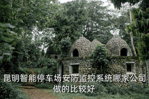 昆明智能停車場安防監(jiān)控系統(tǒng)哪家公司做的比較好