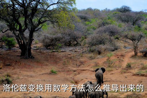 洛倫茲變換用數學方法怎么推導出來的