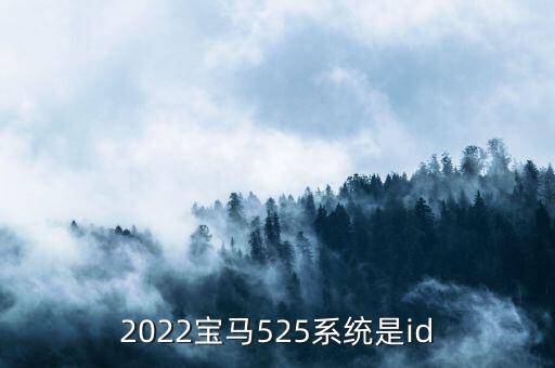 2022寶馬525系統(tǒng)是id