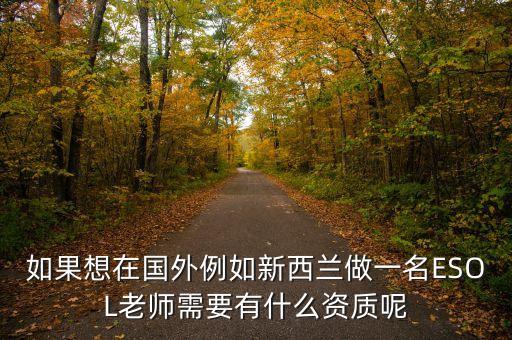如果想在國外例如新西蘭做一名ESOL老師需要有什么資質(zhì)呢