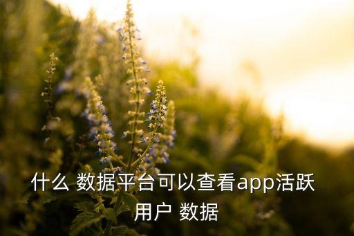 什么 數(shù)據(jù)平臺可以查看app活躍 用戶 數(shù)據(jù)