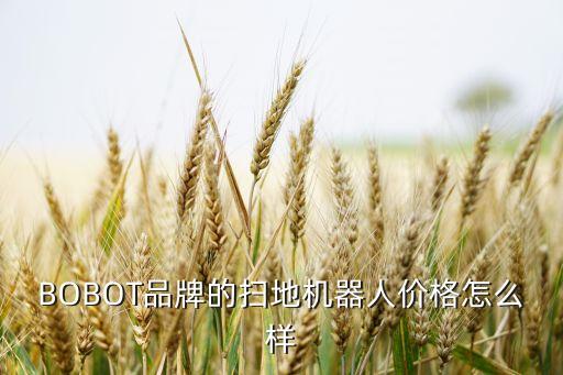 bobot，BOBOT品牌的掃地機器人價格怎么樣