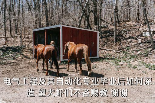 電氣工程及其自動(dòng)化專業(yè)畢業(yè)后如何深造.望大蝦們不吝賜教.謝謝