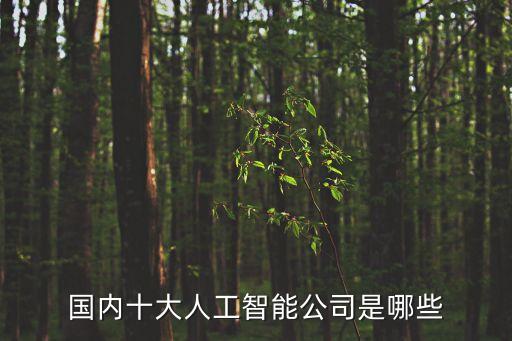 國(guó)內(nèi)十大人工智能公司是哪些