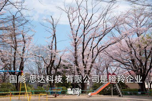 國能 思達科技 有限公司是瞪羚企業(yè)嗎