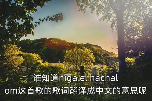 vedai，誰(shuí)知道niga el hachalom這首歌的歌詞翻譯成中文的意思呢