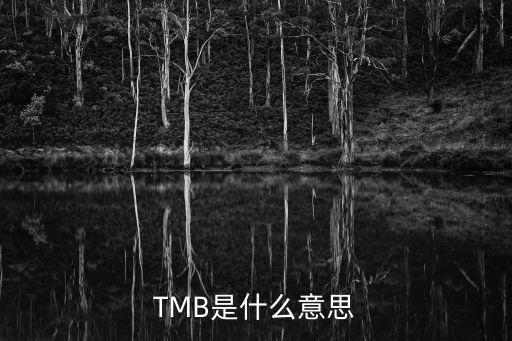 TMB是什么意思
