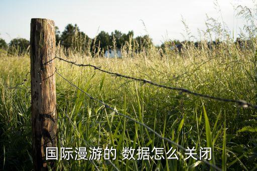出國(guó)關(guān)閉數(shù)據(jù)流量短信,出國(guó)用流量需要打開(kāi)數(shù)據(jù)漫游嗎