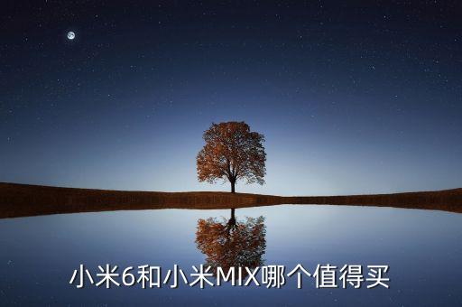 6mix，小米6小米6和小米mix哪個更好點