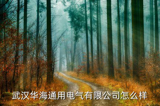 通用電氣武漢自動化招標(biāo),通用電氣是怎么一回事?