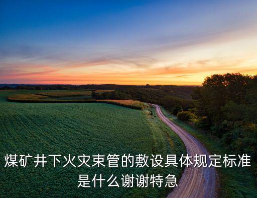 煤礦井下火災(zāi)束管的敷設(shè)具體規(guī)定標(biāo)準(zhǔn)是什么謝謝特急
