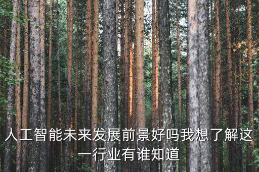 人工智能未來(lái)發(fā)展前景好嗎我想了解這一行業(yè)有誰(shuí)知道