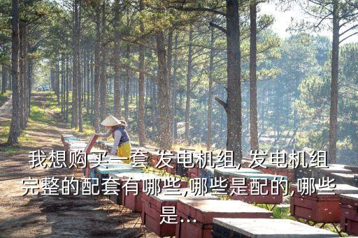 我想購買一套 發(fā)電機(jī)組, 發(fā)電機(jī)組完整的配套有哪些,哪些是配的,哪些是...