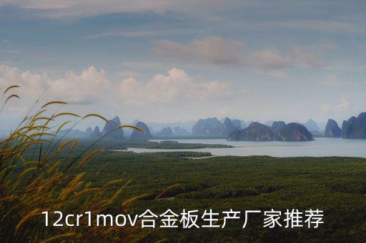12cr1mov合金板生產(chǎn)廠家推薦