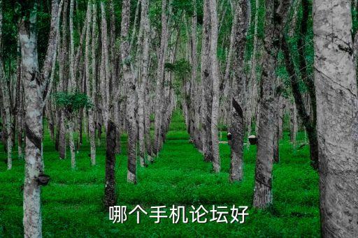 哪個手機論壇好
