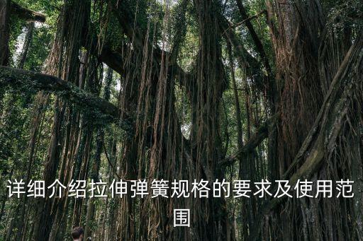 彈簧自動(dòng)化拉伸設(shè)備,拉伸彈簧有哪些優(yōu)點(diǎn)?